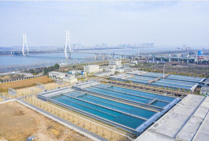 1703771031205377.jpg 01.jpg