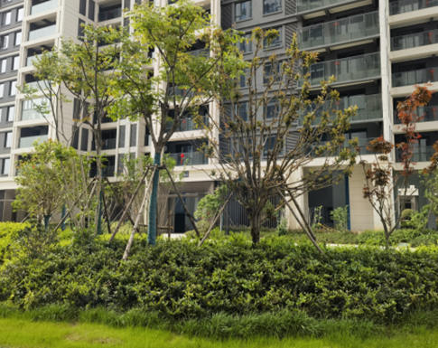 1706759639115665.jpg 图片5.jpg