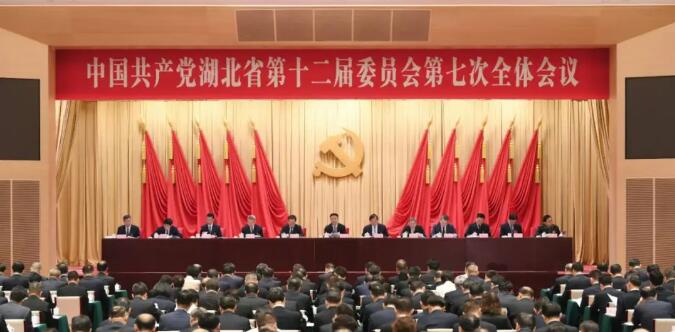 1724748078339953.jpg 01.jpg