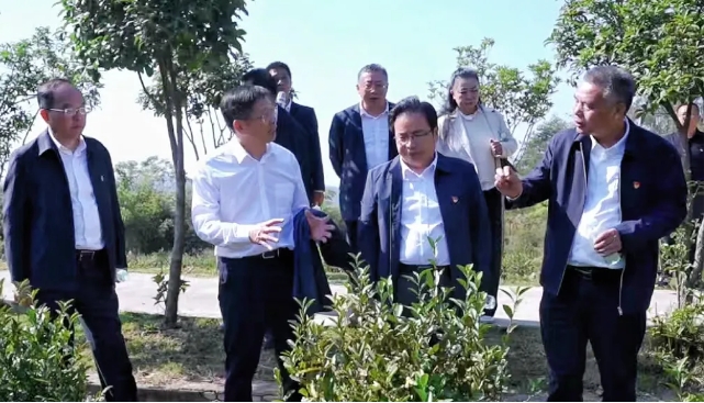 1735174920697326.jpg 11.jpg