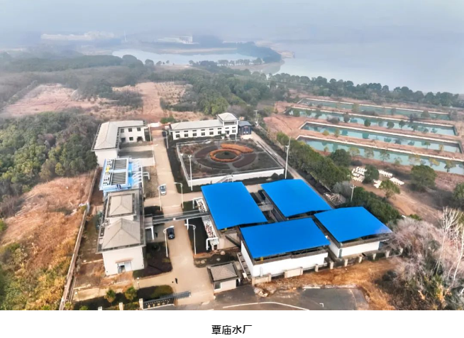 1735636882443506.jpg 02.jpg